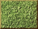 Noch 07152 Laub, hellgrün, 100g - Bild