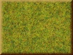 Noch 08151 Streugras Sommerwiese, 2,5 mm - Bild
