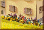 Noch 14050 H0 L-C Blumengarten - Bild
