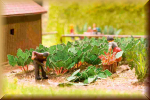 Noch 14108 HO L-C Rhabarber - Bild