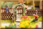 Noch 14228 Rosenbogen - Bild
