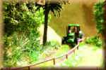 Noch 14606 N L-C Farn - Bild
