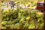 Noch 23102 Bahndammbewuchs - Bild