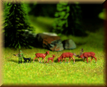 NOCH 33760 Rotwild - Bild