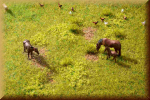 Noch 60771 Vegetations-Set  Wiese - Bild