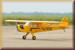 Pichler-extron C4232 Piper J3 Cub / 1950mm - Bild