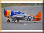 Pichler-extron C5852 P-47D Thunderbolt (Tarheel Ha - Bild