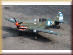 Pichler-extron C8391 Curtis P-40 AVG / 1570 mm - Bild